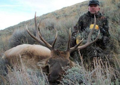 Allocated Rifle Elk hunt