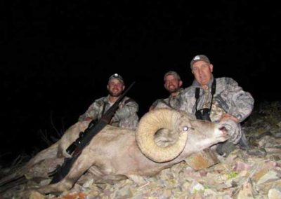 Bighorn Sheep Outfitters