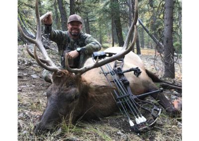 Idaho Elk Hunting Outfitters
