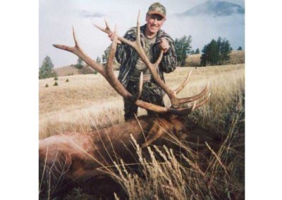6x6 Bull Elk