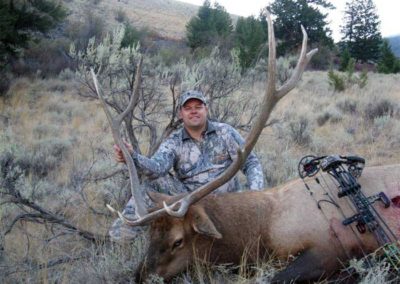6x4 Archery Elk