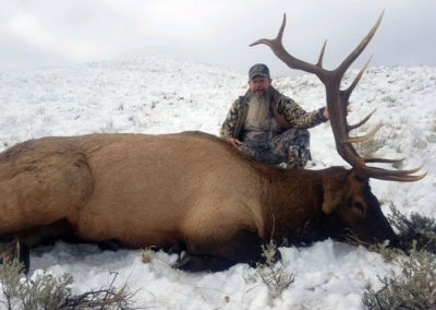 Idaho Elk Hunting Guides