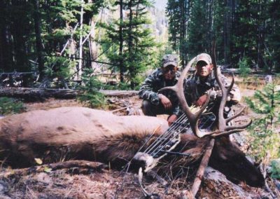 Archery Elk Hunting Guides