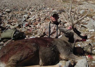 Mule Deer Hunts