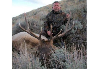 allocated rifle elk hunts