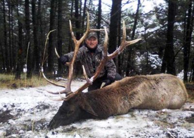 Rifle Elk Hunts