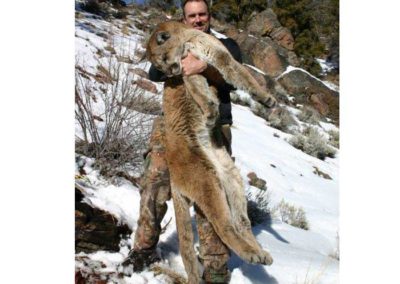 Lion Hunts Idaho