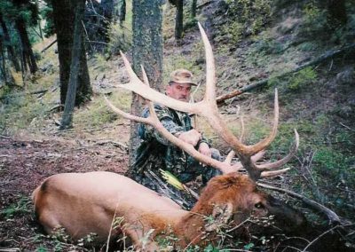 Idaho Bull Elk