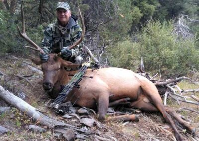 Bill Archery Elk Hunt 2022