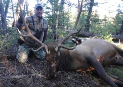 Idaho Elk Outfitters