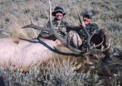 6x6 Bull Elk