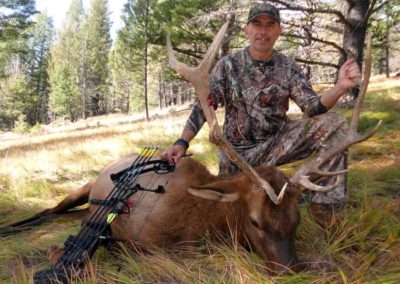 Archery Elk Hunt in Idaho