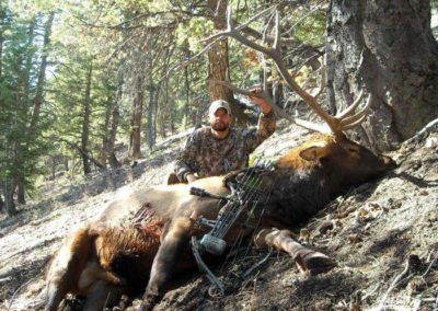 Archery Elk Hunting Guide