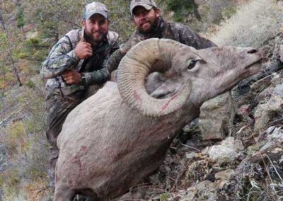 Freds Idaho Ram Hunt