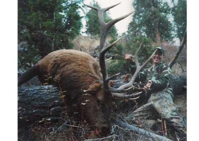 Bull Elk Hunt Success