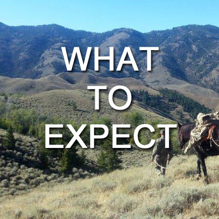 Idaho Specialty Hunts